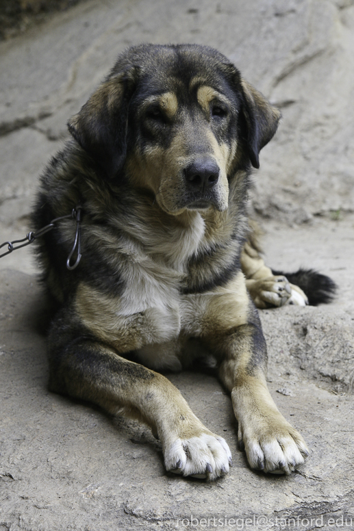 bhutan